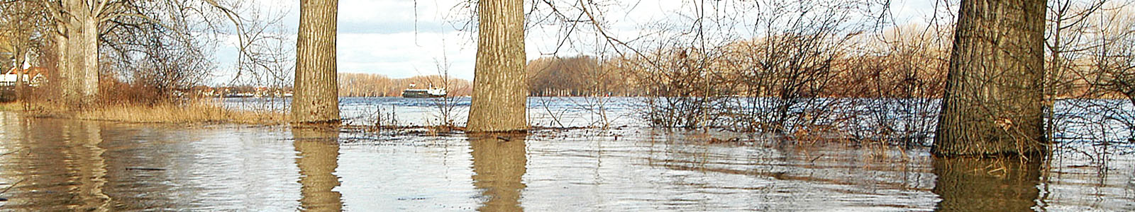 Mit Wasser überschwemmtes Flussufer ©Feuerbach